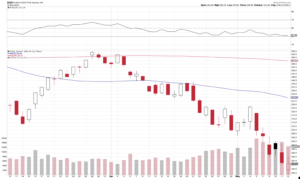 Screenshot-2025-03-12-at-1.43.57 PM